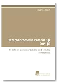 Heterochromatin Protein 1? (HP1?): It's role on genomic stability and cellular senescence