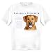 Rhodesian Ridgeback Human Trainer Adult T Shirt