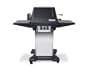 Ducane Model 20007301 Propane Grill with Rotisserie Burner, Stainless Steel Base