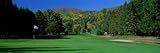 IMAGE OF Golf Course Fairlee, VT Photographic Poster Print by Panoramic Images, 20x60