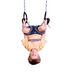 Swing-N-Slide Ring / Trapeze Bar Combination Swing