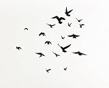 Flock of Birds wall decal sticker