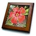 Tropical Hibiscus - bunga raya, flower, flowers, hibiscus, hibiscus rosa sinensis, plant, plants - 8x8 Framed Tile