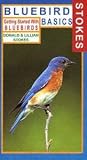 Stokes Bluebird Basics Video