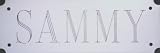 Hi Tech Building Doghouse Nameplate, Brushed Chrome