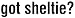 Shetland Sheepdog - Got Sheltie Apron