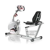 Schwinn 240 Recumbent Bike (2010)