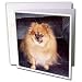   - Dogs Pomeranian - Pomeranian Dog - Greeting Cards-12 Greeting Cards with envelopes