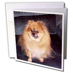 image link - - B000VGA81O