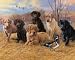 White Mountain Puzzles Marsh Madness 1000 Piece Jigsaw Puzzle