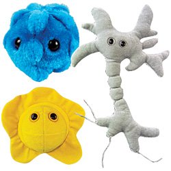 Fun Cuddly Microbe Plush Stuffed Toys - Rhinovirus, Herpes & Brain Cell (Set)