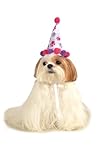 Rubies Costume Halloween Classics Collection Pet Costume, Small to Medium, Purple and Red Paw Print Birthday Hat