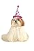 Rubies Costume Halloween Classics Collection Pet Costume, Small to Medium, Purple and Red Paw Print Birthday Hat