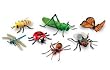 JUMBO INSECTS