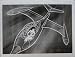 Search : Wonder Woman/Super Friends Original 7x9 T.V. Photo #1876