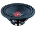 PPI PC-104 10" WOOFER