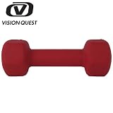 VISION QUEST�ʥӥ���󥯥����ȡ� �ӥ塼�ƥ����졼 2kg VQAR02