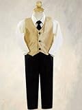 Gold Taffeta Vest and Pant Set 18-24M - (Child)
