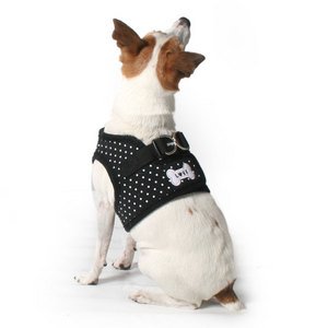 puppia dotty harness
