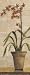 Art Poster Print - Orchid In Terra Cotta Pot I - Artist: Barbara Lewis - Poster Size:...