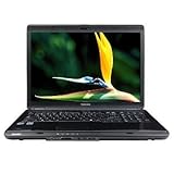 Toshiba Satellite L355-S7835 Intel Core 2 DUO T5800 2.0GHz 4GB 320GB DVDRW  ....