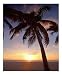 Cayman Island Sunset Photographic Poster Print by George Oze, 16x20