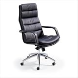 Executive Office Chair 