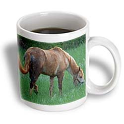 Rebecca Anne Grant Photography Horses - Horse Eating In A Field - Mugs