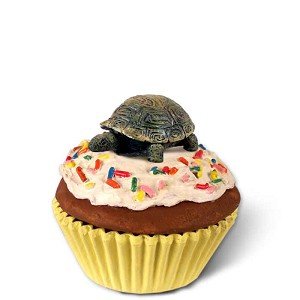 Turtle Cupcake Trinket Box