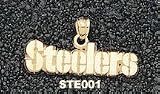 Pittsburgh Steelers 1/4 Charm/Pendant -14K/10K, Stainless Steel or Gold Plated