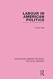 Labour in American politics