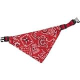 Halstuch inkl. Halsband rot 40 - 65cm / 25mm