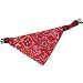Produkt-Bild: Halstuch inkl. Halsband rot 40 - 65cm / 25mm