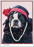 The Flapper - Boston Terrier Birthday Card