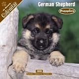 2008 Puppies : German Shepherd 2008 16 Month Wall Calendar **IN STOCK NOW**