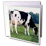 Farm Animals - Holstein Cow - Greeting Cards-12 Greeting Cards with envelopes