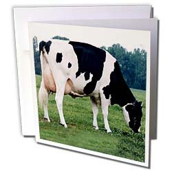 Farm Animals - Holstein Cow - Greeting Cards-12 Greeting Cards with envelopes