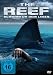 The Reef [DVD].