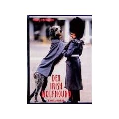 Der Irish Wolfhound