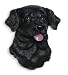 Black Labrador Retriever Dog Magnet