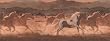 Wild Horses Wallpaper Border