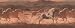 Wild Horses Wallpaper Border