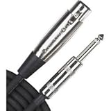 Rapco Horizon HZ Series Cable Female XLR to Male 1/4 Knowing God: Walking through the Book of Books