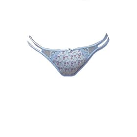 Buy Playtex Super Soft Microfiber Bikini Panty by Playtex