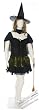 Plus Size Wicked Witch Costume - Womens Full