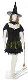 Plus Size Wicked Witch Costume - Womens Full