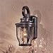 Minka Lavery Lights 8761-166 Medium Wall Mount Light - Corona Bronze Outdoor Lighting