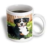 Appenzeller Mountain Dog - 15oz Mug