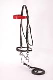 Silver Fox Walking Horse Bridle