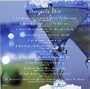 Pottery Barn - Margarita Mix